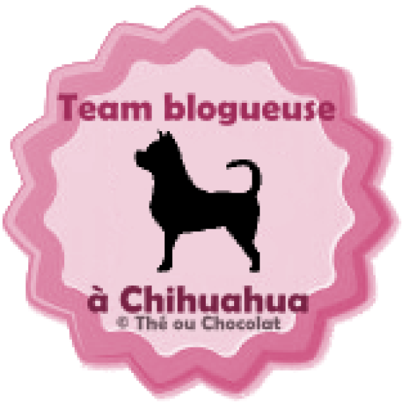 http://chokomag.com/team-blogueuse-a-chien/