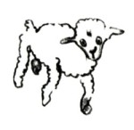 mouton-2